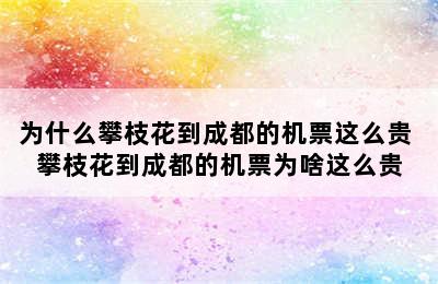 为什么攀枝花到成都的机票这么贵 攀枝花到成都的机票为啥这么贵